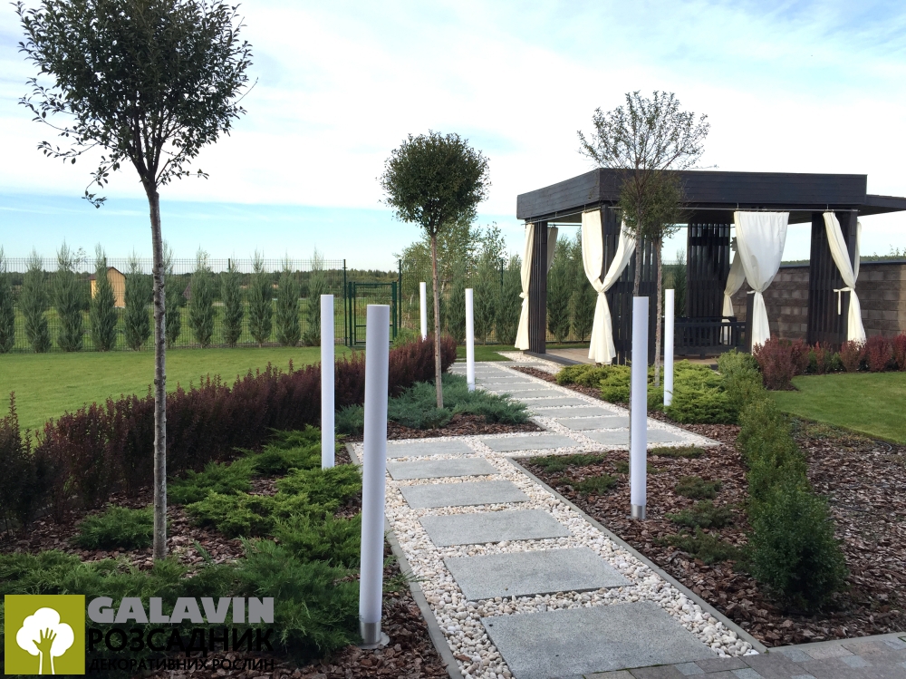 galavin-landshaft-2-10
